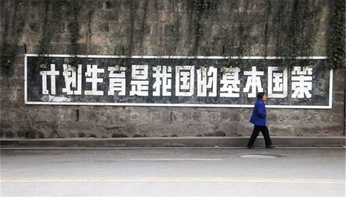 二胎，抚养费，王娜娜，刑讯