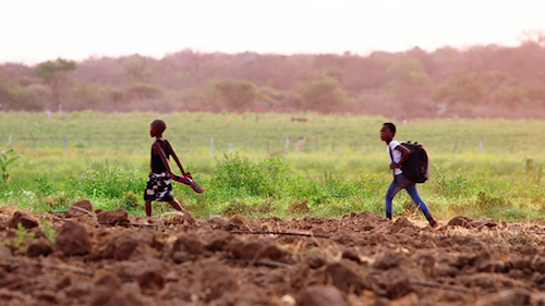 Forevermark,钻石,珠宝,内容营销