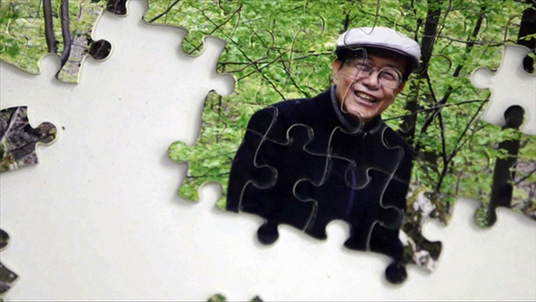 也斯,香港文学,蔬菜的政治