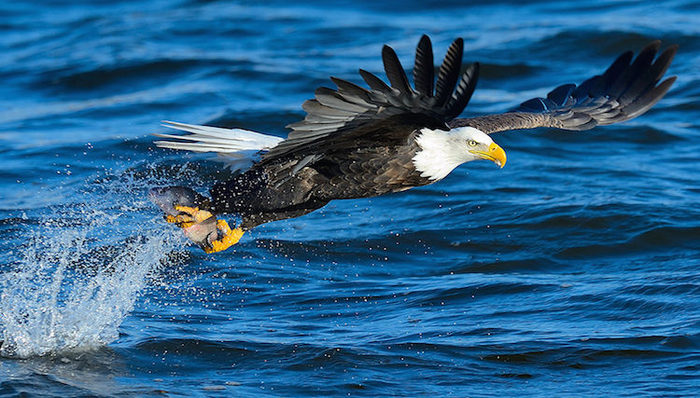 麦肯锡,谷歌,阿里巴巴,腾讯