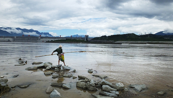 长江干流四座巨型梯级电站82台机组今年首次全开