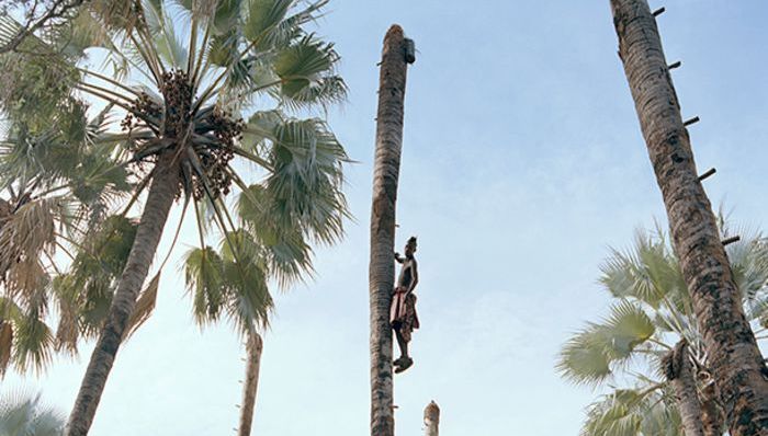 非洲,纳米比亚,棕榈酒,传统文化,殖民