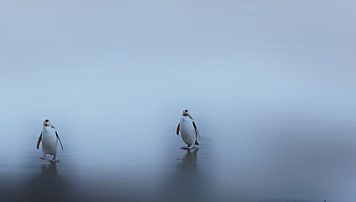 腾讯将投资今日头条