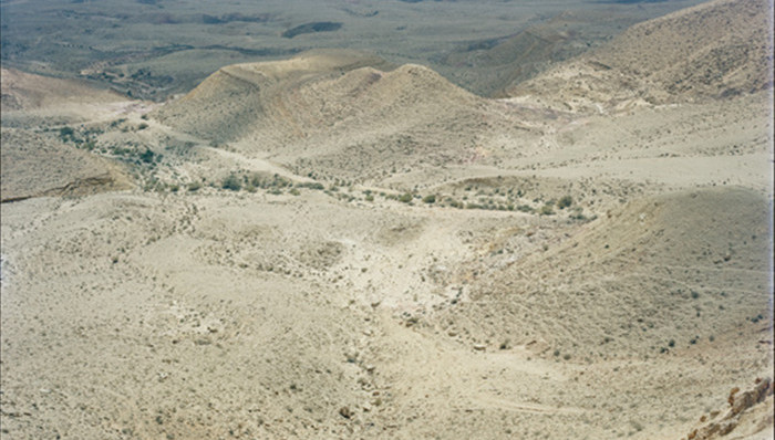 以色列,摄影,战争
