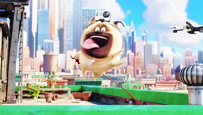 Go,Pro,爱宠大机密