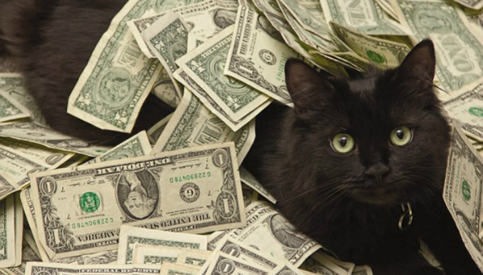 80后,月薪,求职就业