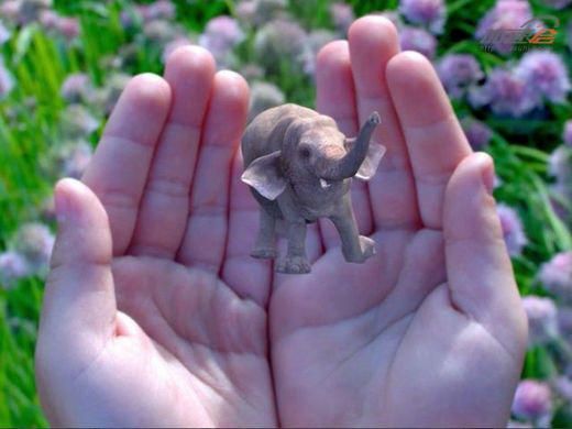 Pokemon带火AR应用  阿里和谷歌投资的Magic Leap“混合现实”设备也要量产了