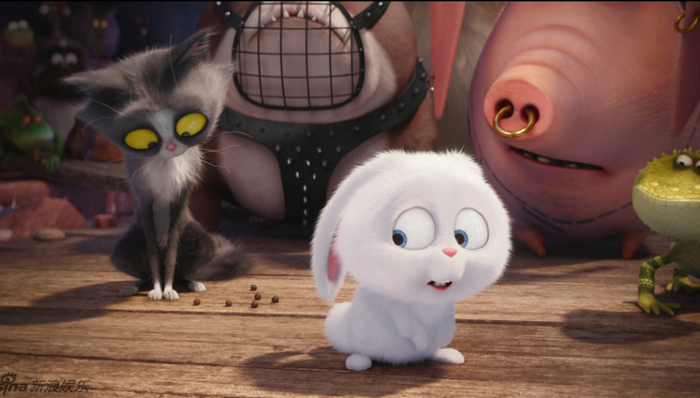 爱宠大机密,好莱坞,动画电影