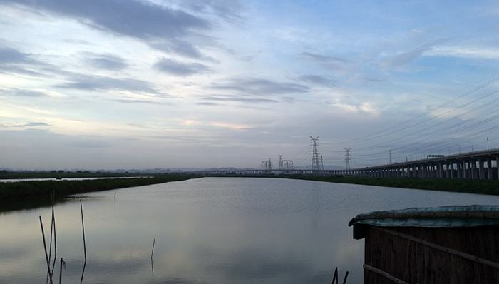 深圳填海项目环评遭质疑