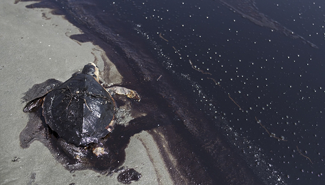 BP又被罚款25亿美元 它已为美国史上最严重漏油事故花了616亿美元