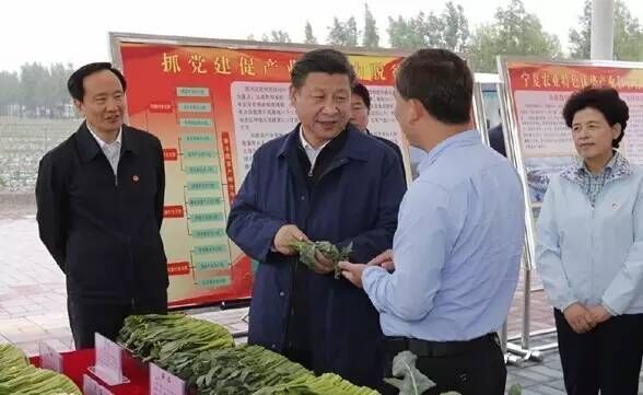 习近平,市场风险,总书记,养牛,信息服务,贫困户,大湾乡,长征精神,马科,育肥牛