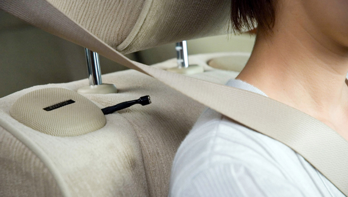 后排乘客、乘客