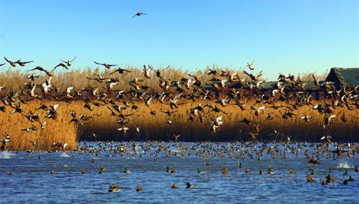 上海,崇明岛,撤县设区