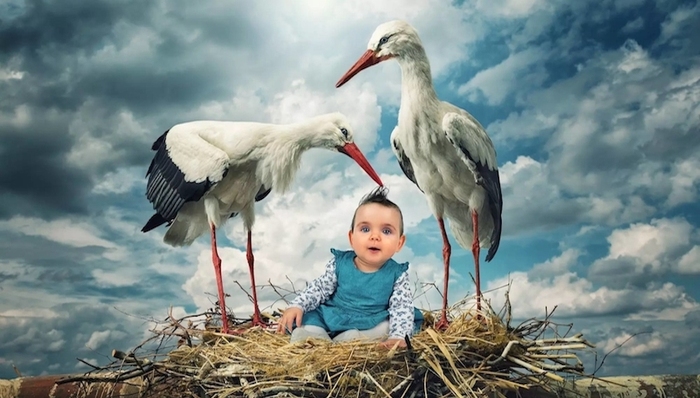 管理误区,授权赋能,自我提升运动,伪善人综合症,高杠杆时间,绩效