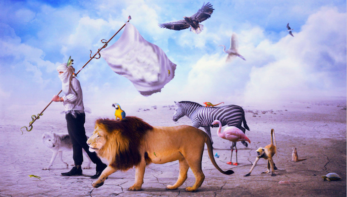 亚马逊,阿里巴巴,小米,苹果公司,微软,IBM,生态优势,核心竞争力,赫尔曼·西蒙