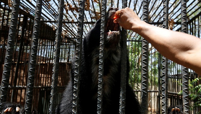 委内瑞拉,,动物,,经济崩溃
