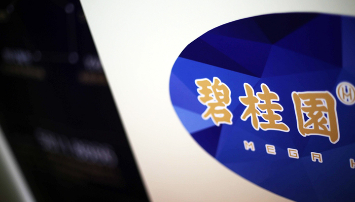 碧桂园夺下武汉单价地王