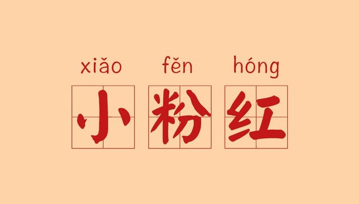 “小粉红”是怎样被黑的？
