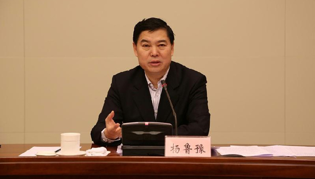 立案侦查,杨鲁豫,副书记,最高人民检察院,市委,案件侦查,最高检,市长,受贿罪,强制措施