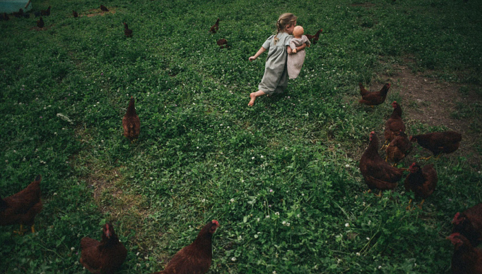 田园生活,美国农场,摄影