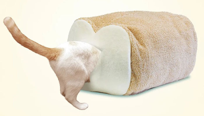 猫窝,铲屎官,喵星人