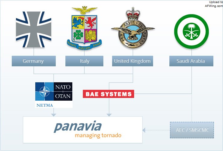 帕那维亚是为生产“狂风”战斗机而建立的一家独立国际合作公司，负责协调“狂风”项目中英国、德国和意大利公司的工作