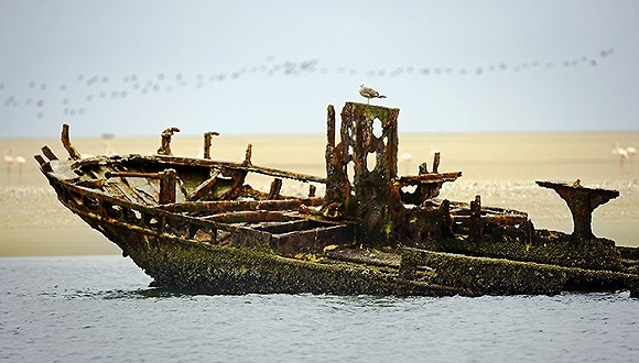 *ST舜船,重整,暂停上市