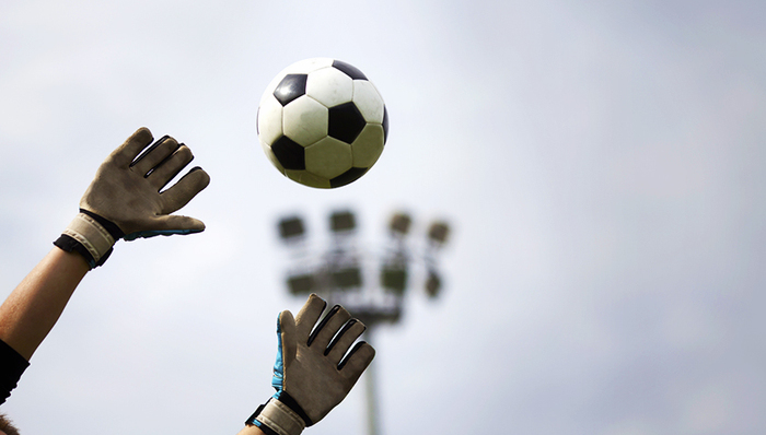 园林企业棕榈股份参与收购英超球队