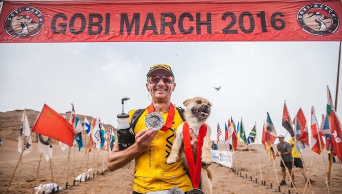 马拉松,狗,真情