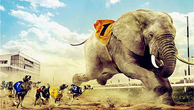 3M公司,微软,西门子,索尼,美国通用电气公司,松下幸之助,苹果,乔布斯,华为,内部创业