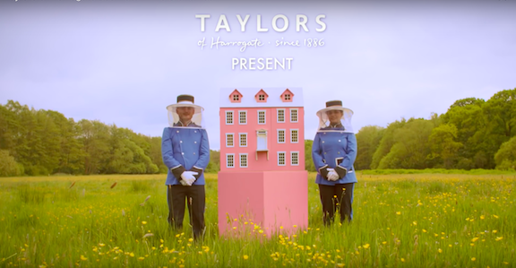 英国,茶,taylors,蜜蜂