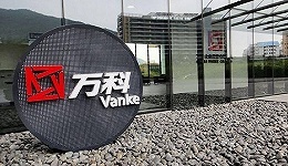 万科,王石