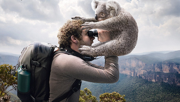 IBM,微软,英特尔