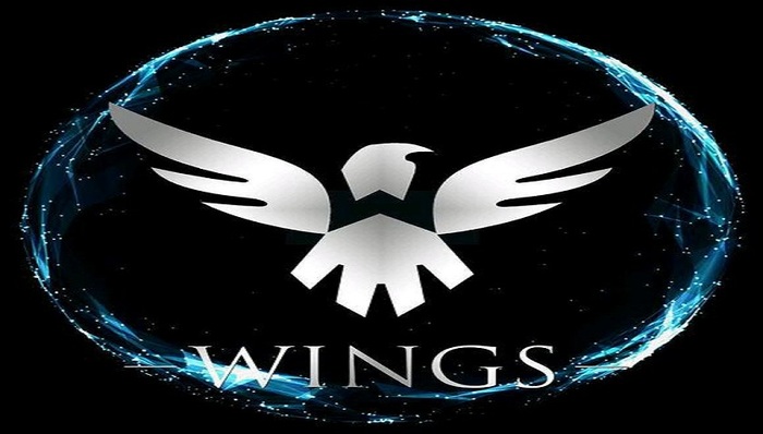 Dota2中国超新星战队wings赢得TI6国际邀请赛冠军
