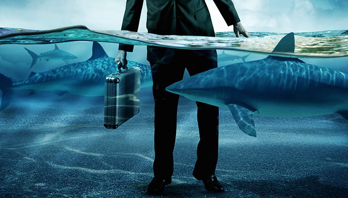 银行股,举牌,华夏银行,大股东,印顺,银行板块,短线游资,板块涨幅,短线资金,补跌