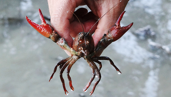 麻辣诱惑新店更名“麻小”