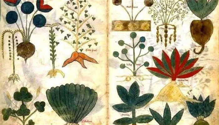 毒品,毒药,阴病,分毒,阳病,裸袒,五行说,炮制方法,药毒,药