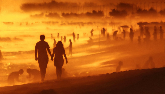 西西：爱情是瘟疫