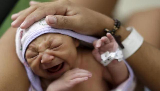 波多黎各或有1/4人口将感染寨卡病毒 已进入公共卫生紧急状态