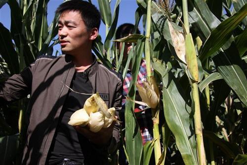 特稿|这几天唯一关于他的报道：王宝强这几年