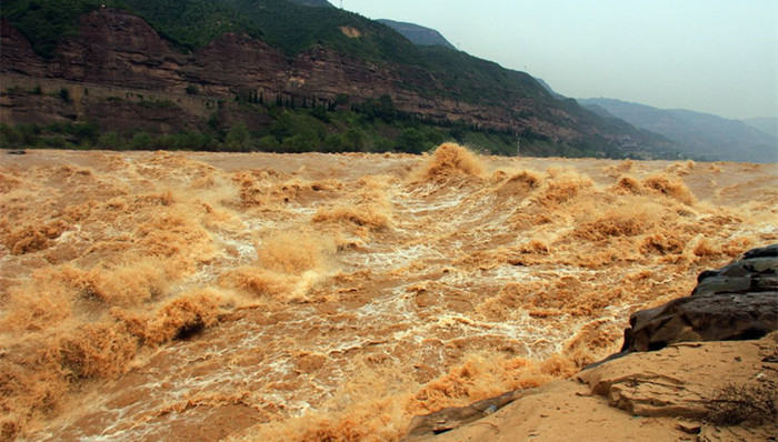 捞尸者,黄河,假币,农妇,逃犯,主持,白洋淀,死鱼,医院,盗窃,公益援助库,事业单位招聘