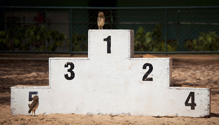 六成奥运冠军退役后从政