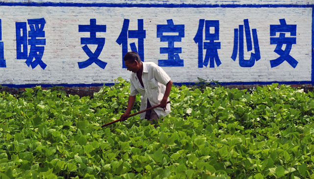 支付宝启动保险精准扶贫实验
