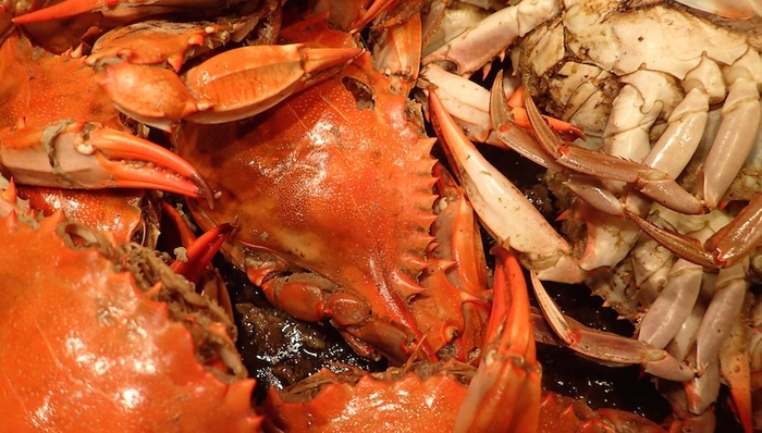 青岛海关,海鲜,日本