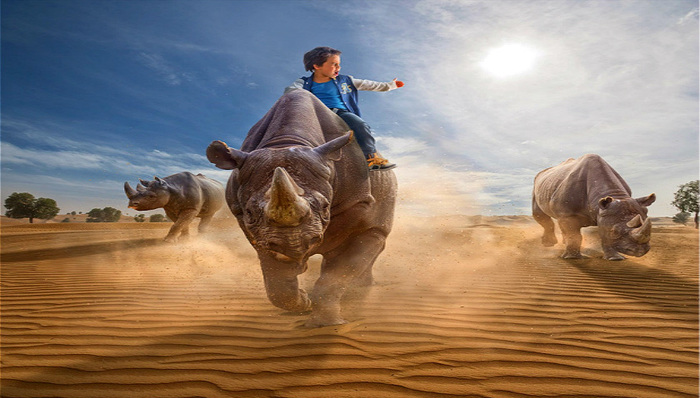 华为,小米,谷歌,诺基亚,柯达,百事达,京东,BAT,中国移动,中国联通