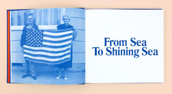 美国,国旗,设计,全民公投