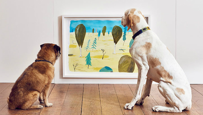 宠物,狗,交互艺术展