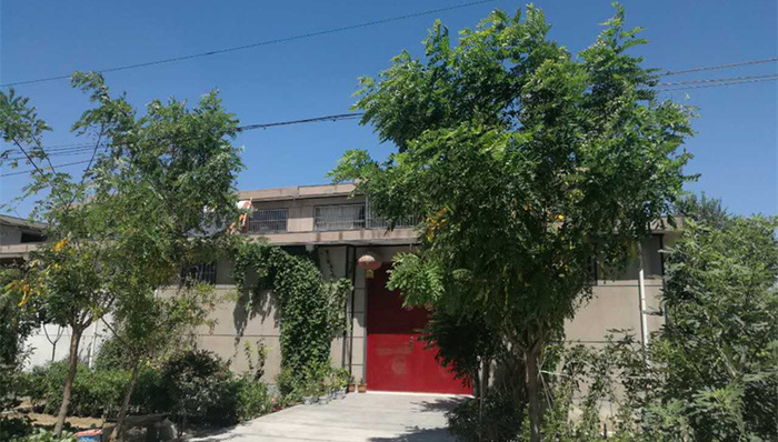 徐玉玉、电信诈骗