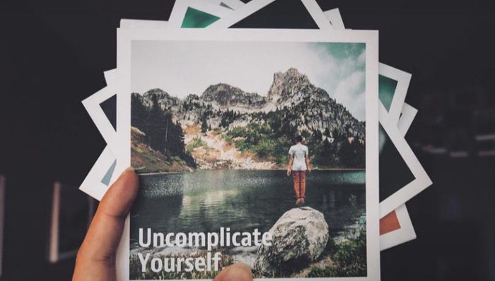 PGC,创业者,乐视,个性化推荐,MCN,平台策略,变心,梦文化,日食记,bat