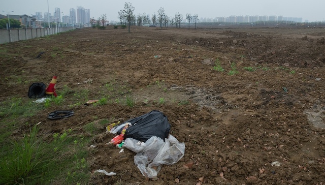 常州外国语毒地事件